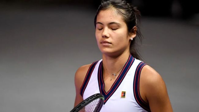 这个项目起 这个项目起